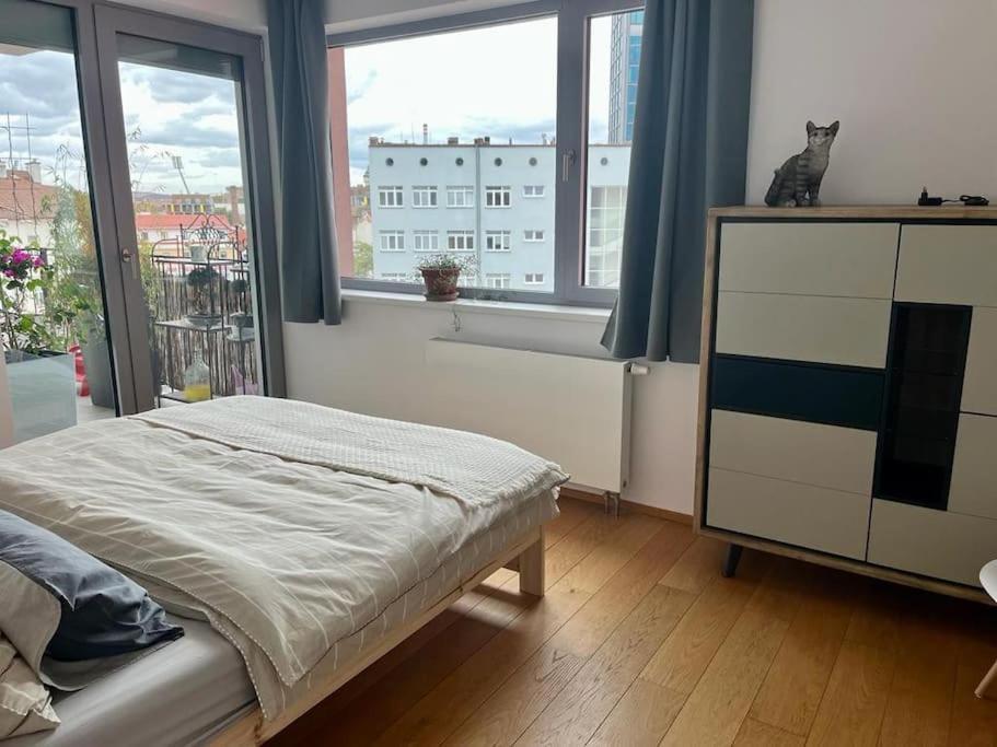 Apartment In Historical Center With Park View Plzeň Kültér fotó
